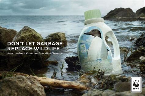 slogan about basura|WWF.